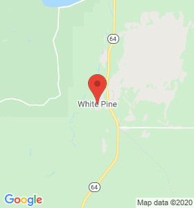 White Pine, MI