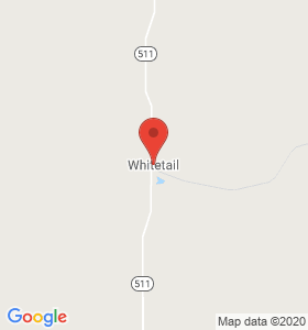 Whitetail, MT