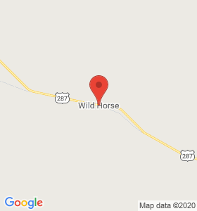 Wild Horse, CO