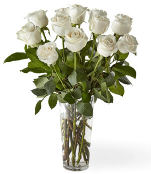 one dozen white roses