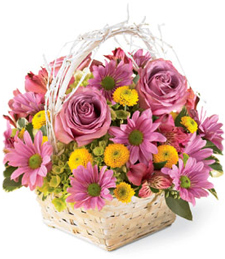 Festive Blooms Basket