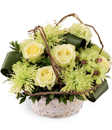 Felicitous flowers of red, pink, blue and purple spring to life from this arrangement, making it a beautiful and heart-warming token of your deepest Sympathy and support.
