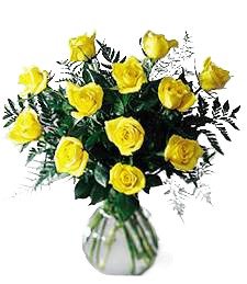 Luxurious Yellow Roses