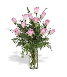 One Dozen Pink Roses Pleasing Bouquet