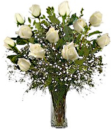 One-Dozen White Roses