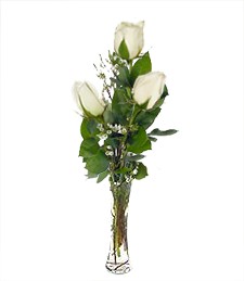 Three White Roses