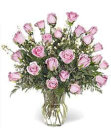 Two Dozen Pink Roses Lovely Bouquet
