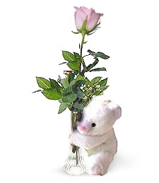One Perfect Rose & Bear Delightfull Bouquet