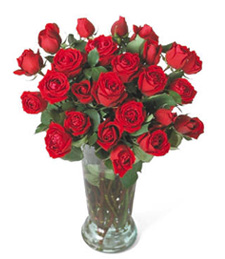 Robustly Red Roses