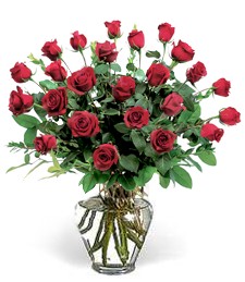 Regal romantic red roses