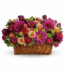 A Flare of Beauty in a Basket