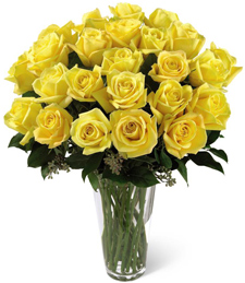 Luscious sunkissed yellow roses