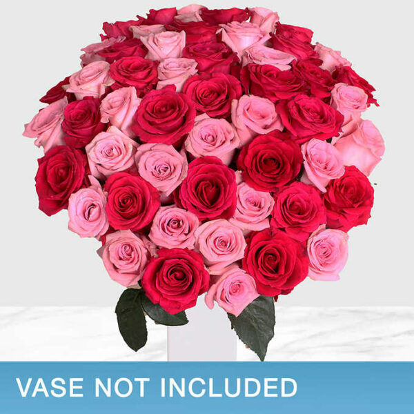 50-stem Hot Pink & Light Pink Roses
