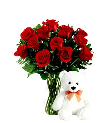 12 Red Roses and Bear