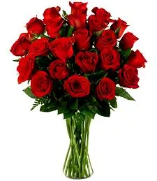 Twenty-Four Fabulous Red Roses
