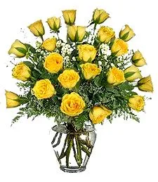 2 Dozen Yellow Roses Pleasing Bouquet