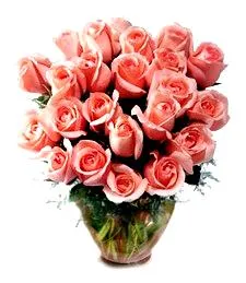 2 dz Lovely Pink Roses