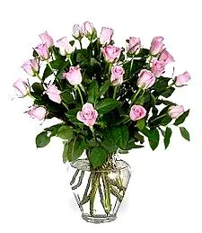 24 Pink Roses Lovely Bouquet