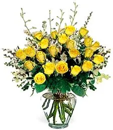 24 Tender Yellow Roses in a Vase