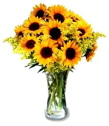 Exquisite Sunflowers