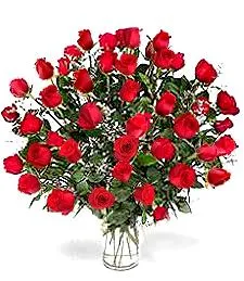 4 Dozen Roses Delightfull Bouquet