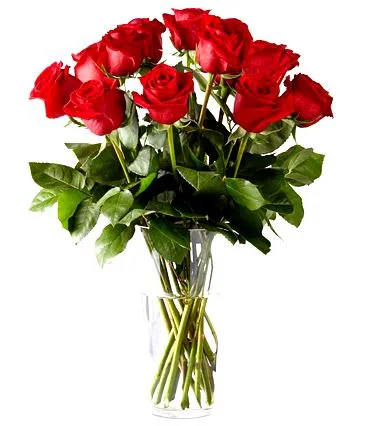 One Dozen Red Roses Beautiful Bouquet