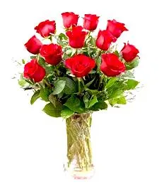 A dozen red roses Pleasing Bouquet