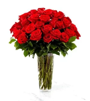 A Stunning Arrangement of Two Dozen Red Roses