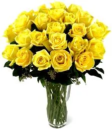 Luscious sunkissed yellow roses