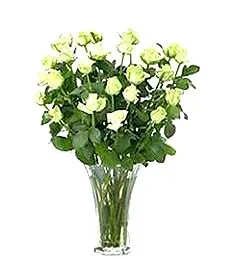 Luxurious 24 White Roses