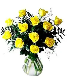 Luxurious Yellow Roses