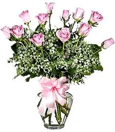 One Dozen Pink Roses Delightfull Bouquet