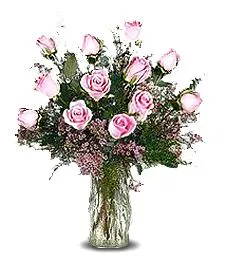 One Dozen Pink Roses Nice-looking Bouquet