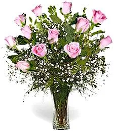 One Dozen Pink Roses Delightfull and Beautiful Bouquet