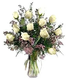 One Dozen White Roses Darling Bouquet