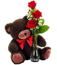 Roses with Cuddly Bear