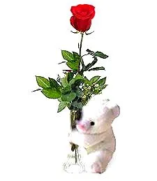 One Perfect Rose & Bear
