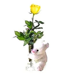 One Perfect Rose & Bear Charming Bouquet