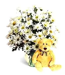 Perfectly Pure Daisies & Bear