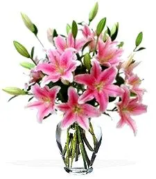 Pink Lily Vase Arrangement