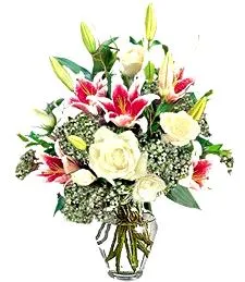 Radiant Roses Darling Bouquet