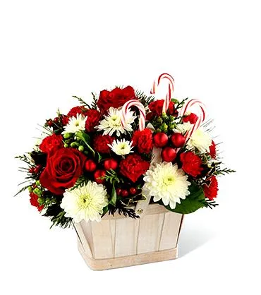 Red and White Basket