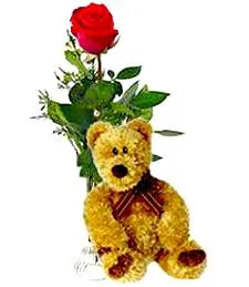 Single Red Rose & Bear
