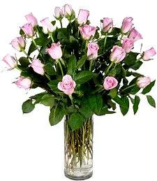 Two Dozen Pink Roses Beautiful Bouquet
