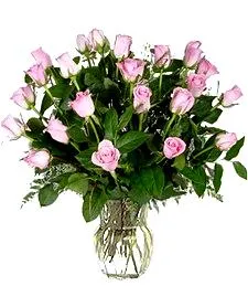 Two Dozen Pink Roses Delightfull Bouquet