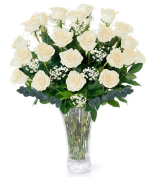 2 Dozen White Roses Long Stem