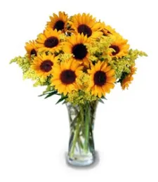 Exquisite Sunflowers