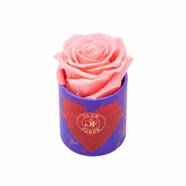 Light Pink Long Lasting Rose in Uno Box