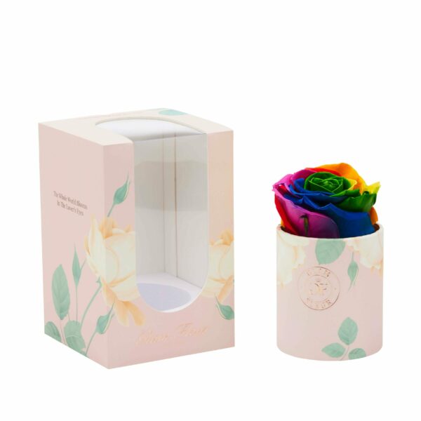 Rainbow Long Lasting Rose in Uno Box