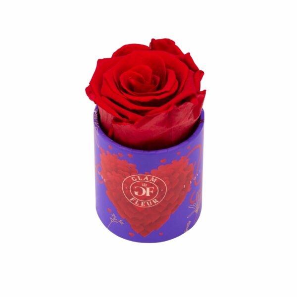 Red Long Lasting Rose in Uno Box